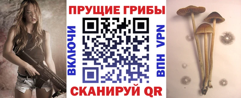 Псилоцибиновые грибы GOLDEN TEACHER Комсомольск