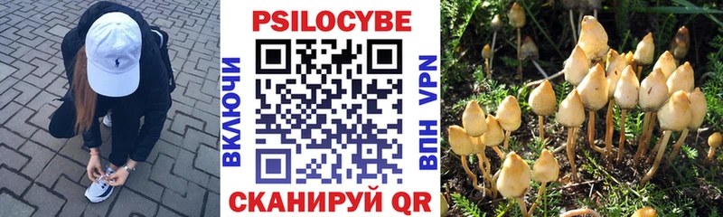 Галлюциногенные грибы Psilocybine cubensis цена Комсомольск